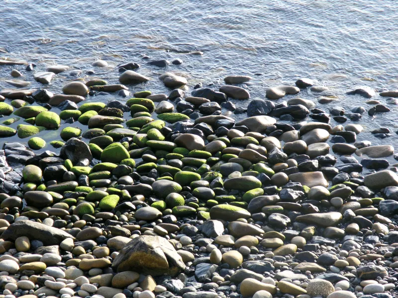 Steine am Strand (Foto: David Jufer) Steine am Strand (Foto: David Jufer)