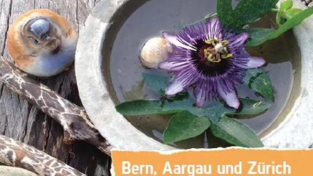 Werktage_2018 (Foto: Christine Lehni) Werktage_2018 — Mission 21 Kirchenbasare (Foto: Christine Lehni)