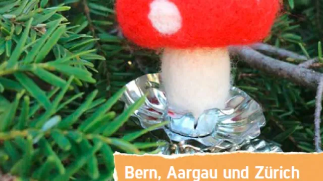 IMG_Umschlagsbild_20181122_CL (Foto: Christine Lehni) IMG_Umschlagsbild_20181122_CL (Foto: Christine Lehni)